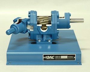 DAC Worldwide External Gear Pump Cutaway | 278-135 | Front View