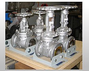 dissectible valve assortment training